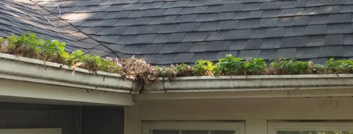 Gutter Cleaning Business Near Me Post Falls Id